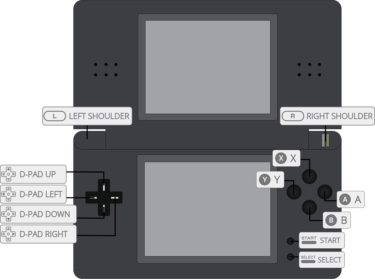 Nintendo DS